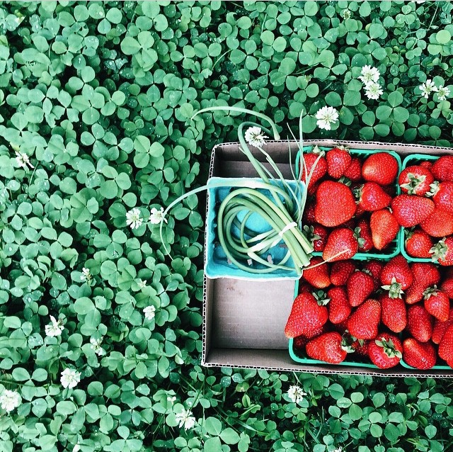 strawberries, leaves, green, foodie