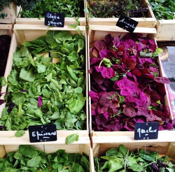 lettuce, rocca, foodie