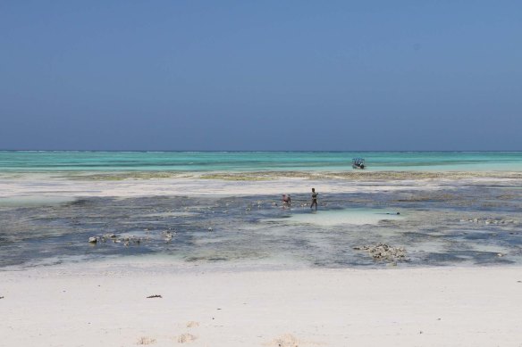 Tanzania, zanzibar, africa, african, cultrue -1