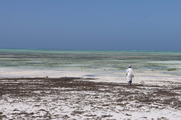 Tanzania, zanzibar, africa, african, cultrue -1