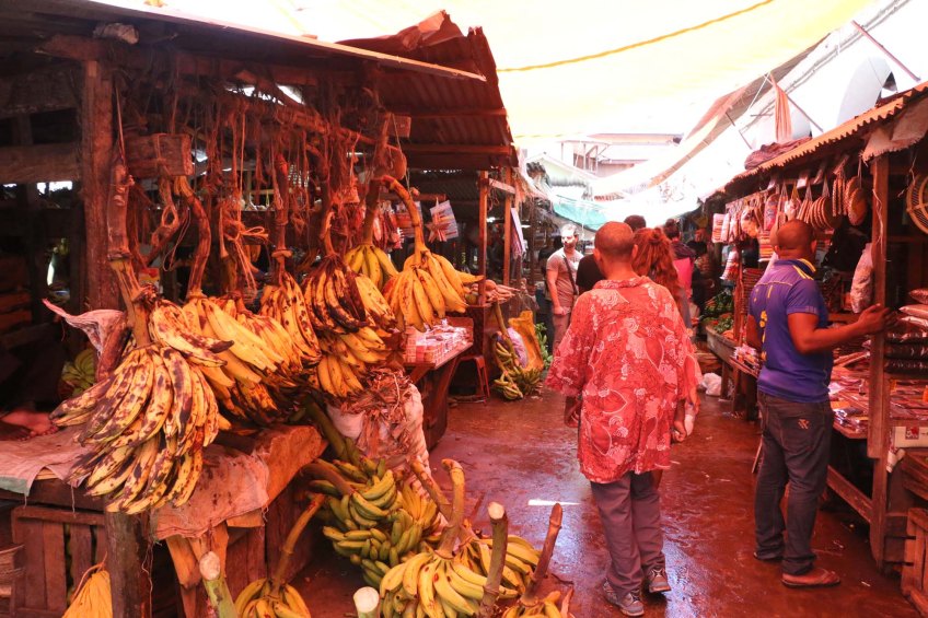 Tanzania, zanzibar, africa, african, cultrue, stonetown, prison island-1