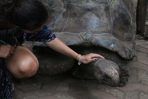 Tanzania, zanzibar, africa, african, cultrue, stonetown, prison island-1