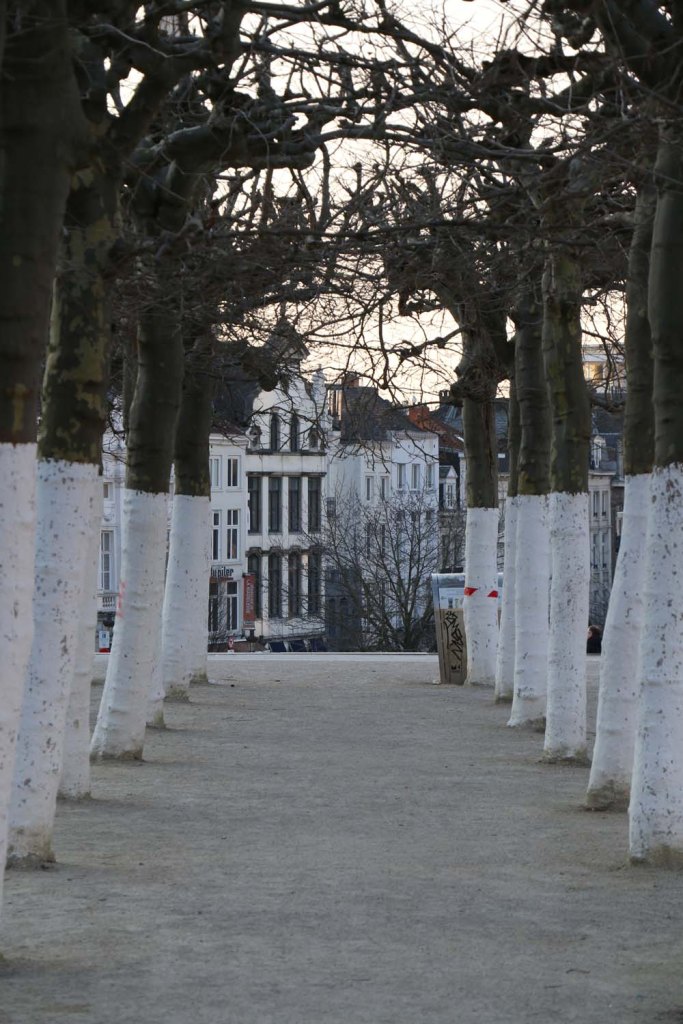 Belgium-brussels-traveling-travel-blog-architecture-Down-to-Grand-place -6