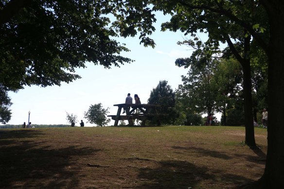 toronto-harbor-front-distillery-district-farmer-market-saint-lawrence-market-1