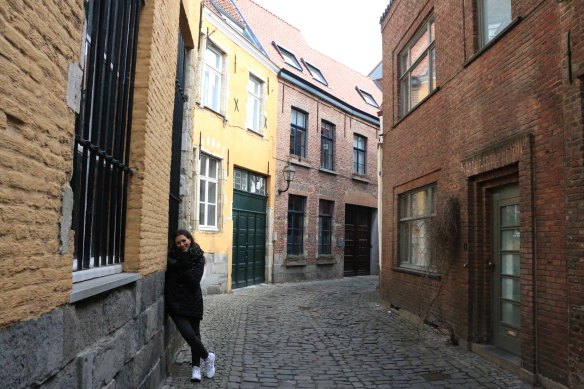 houses, art, architecture, ghent