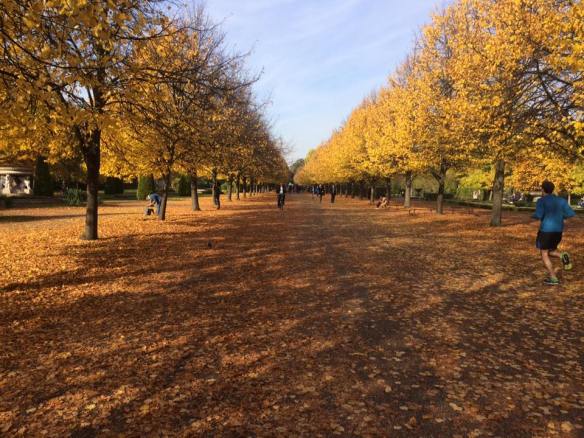 Regent Park, London, Automn 