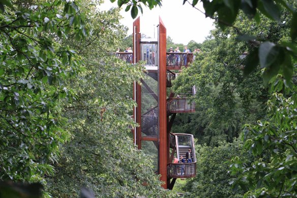 Tree, spiritual, strength, creative