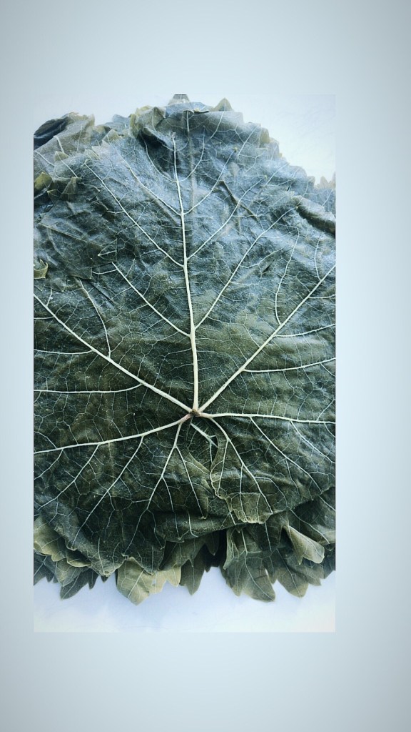 Middle-Eastern-Food, Kofta-bil-waraa, Levant-Food, Arab-Food